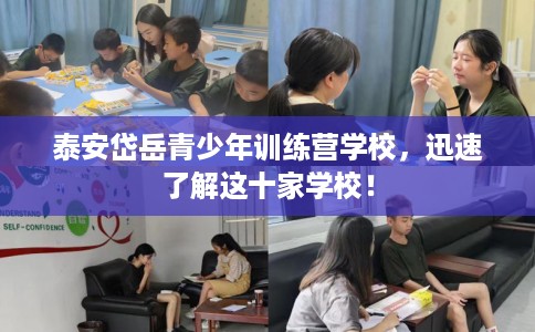 泰安岱岳青少年训练营学校，迅速了解这十家学校！