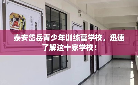 泰安岱岳青少年训练营学校，迅速了解这十家学校！