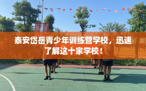 泰安岱岳青少年训练营学校，迅速了解这十家学校！