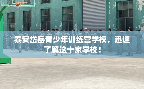 泰安岱岳青少年训练营学校，迅速了解这十家学校！