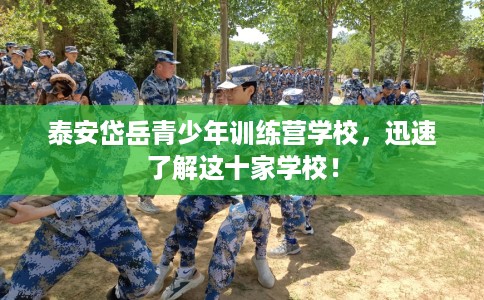 泰安岱岳青少年训练营学校，迅速了解这十家学校！
