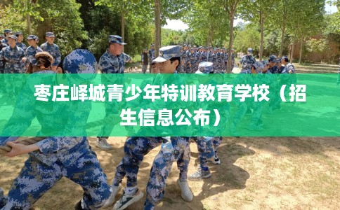 枣庄峄城青少年特训教育学校（招生信息公布）