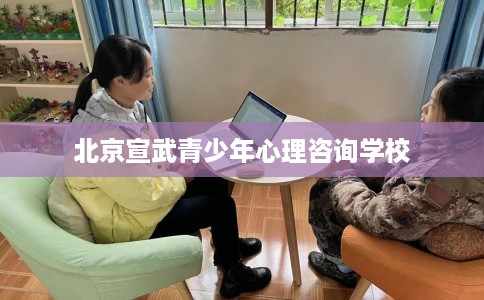 北京宣武青少年心理咨询学校