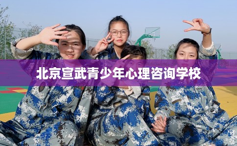 北京宣武青少年心理咨询学校