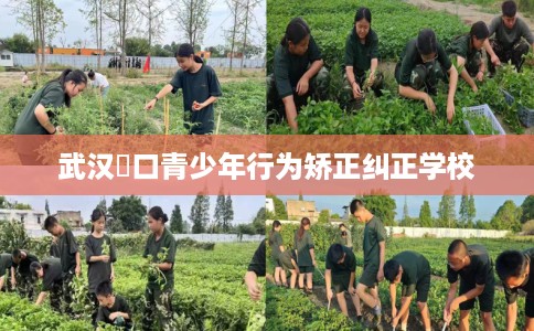 武汉硚口青少年行为矫正纠正学校