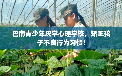 巴南青少年厌学心理学校，矫正孩子不良行为习惯！