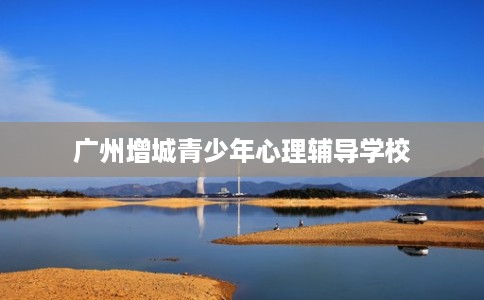 广州增城青少年心理辅导学校