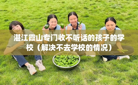 湛江霞山专门收不听话的孩子的学校（解决不去学校的情况）