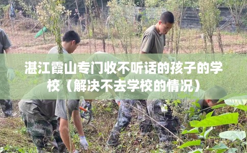 湛江霞山专门收不听话的孩子的学校（解决不去学校的情况）