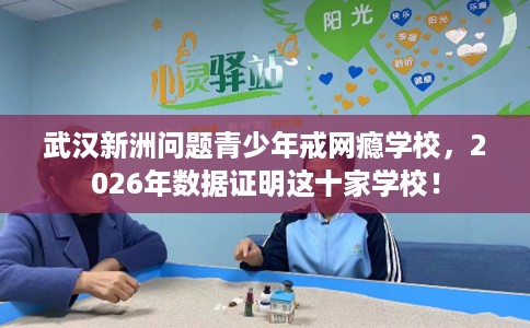 武汉新洲问题青少年戒网瘾学校，2026年数据证明这十家学校！