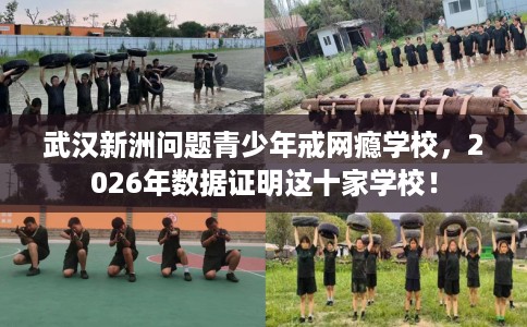 武汉新洲问题青少年戒网瘾学校，2026年数据证明这十家学校！