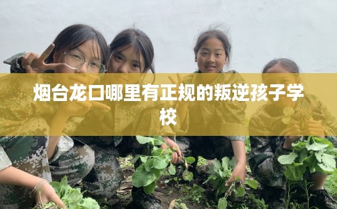 烟台龙口哪里有正规的叛逆孩子学校