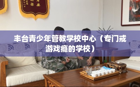 丰台青少年管教学校中心（专门戒游戏瘾的学校）