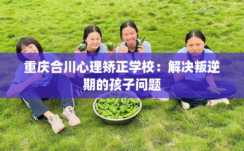 重庆合川心理矫正学校：解决叛逆期的孩子问题