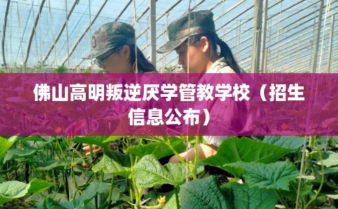 佛山高明叛逆厌学管教学校（招生信息公布）