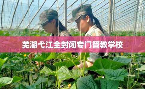 芜湖弋江全封闭专门管教学校