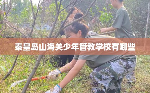 秦皇岛山海关少年管教学校有哪些