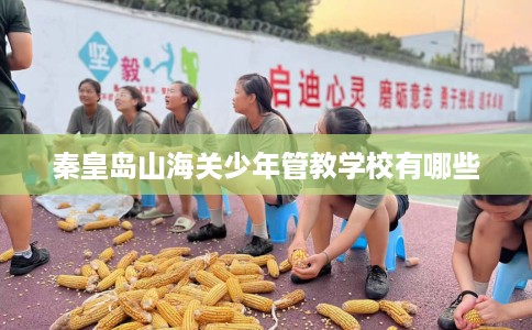 秦皇岛山海关少年管教学校有哪些