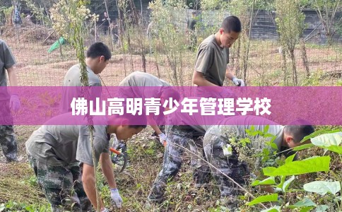 佛山高明青少年管理学校