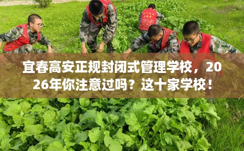 宜春高安正规封闭式管理学校，2026年你注意过吗？这十家学校！