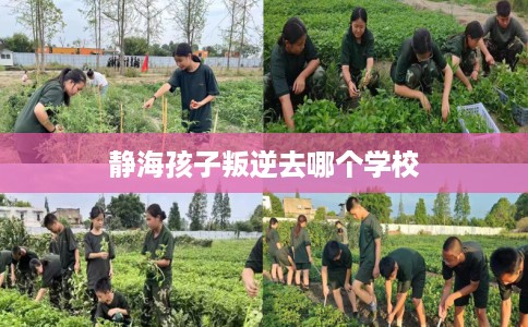 静海孩子叛逆去哪个学校
