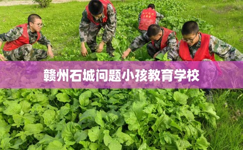 赣州石城问题小孩教育学校