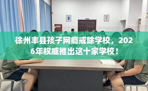 徐州丰县孩子网瘾戒除学校，2026年权威推出这十家学校！