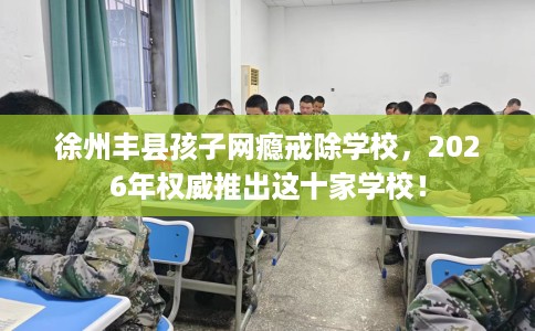 徐州丰县孩子网瘾戒除学校，2026年权威推出这十家学校！