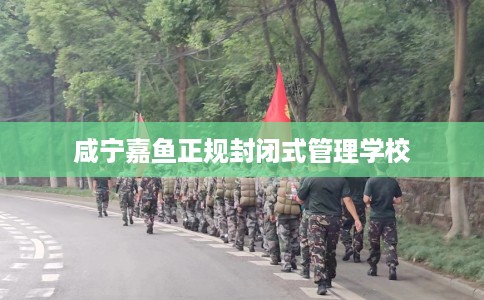 咸宁嘉鱼正规封闭式管理学校