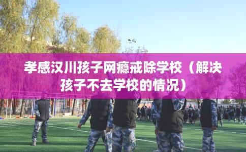 孝感汉川孩子网瘾戒除学校（解决孩子不去学校的情况）