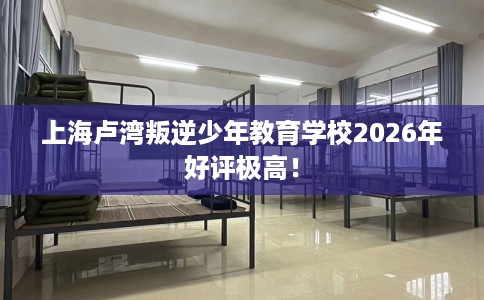 上海卢湾叛逆少年教育学校2026年好评极高！