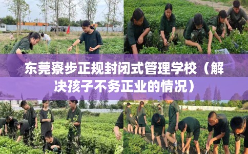 东莞寮步正规封闭式管理学校（解决孩子不务正业的情况）