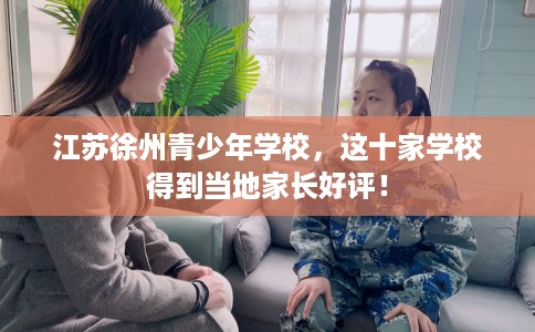 江苏徐州青少年学校，这十家学校得到当地家长好评！