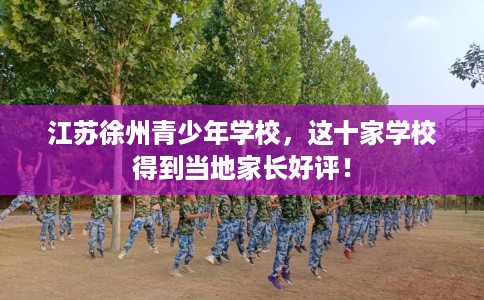 江苏徐州青少年学校，这十家学校得到当地家长好评！