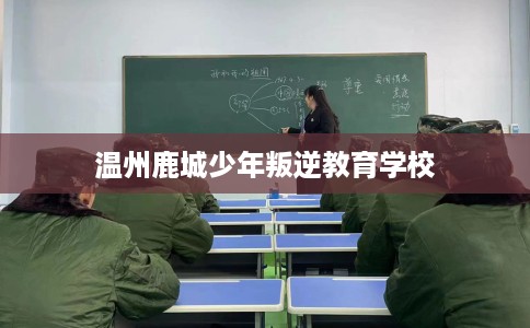 温州鹿城少年叛逆教育学校