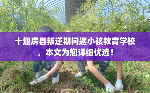 十堰房县叛逆期问题小孩教育学校，本文为您详细优选！