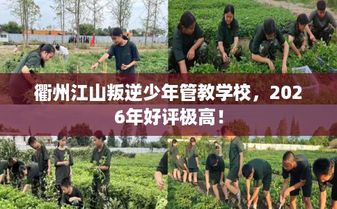 衢州江山叛逆少年管教学校，2026年好评极高！