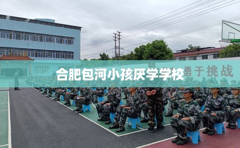 合肥包河小孩厌学学校