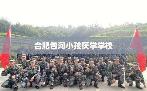 合肥包河小孩厌学学校