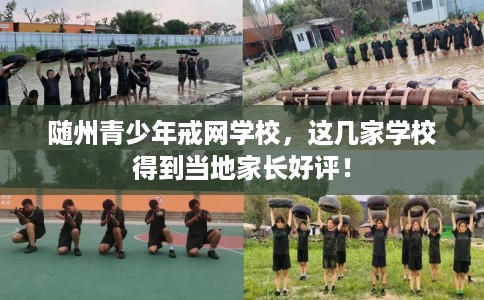 随州青少年戒网学校，这几家学校得到当地家长好评！