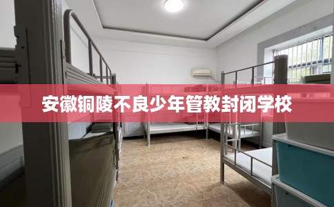 安徽铜陵不良少年管教封闭学校