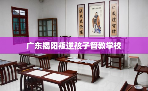 广东揭阳叛逆孩子管教学校
