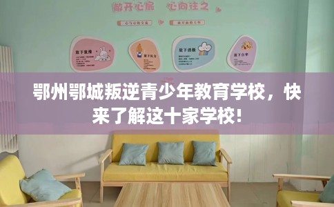 鄂州鄂城叛逆青少年教育学校，快来了解这十家学校!