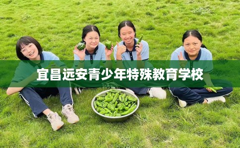 宜昌远安青少年特殊教育学校
