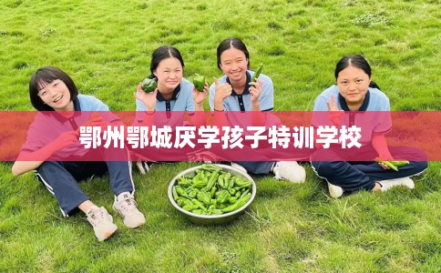 鄂州鄂城厌学孩子特训学校