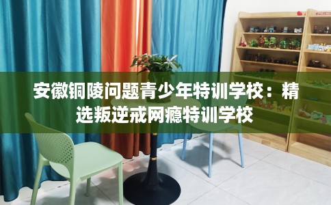 安徽铜陵问题青少年特训学校：精选叛逆戒网瘾特训学校