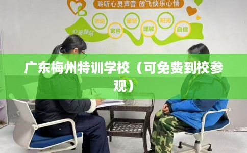 广东梅州特训学校（可免费到校参观）