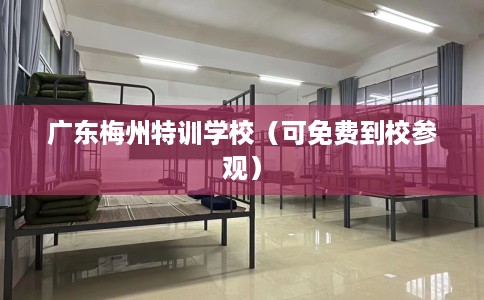 广东梅州特训学校（可免费到校参观）