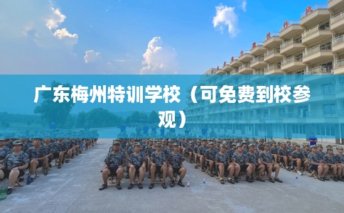 广东梅州特训学校（可免费到校参观）