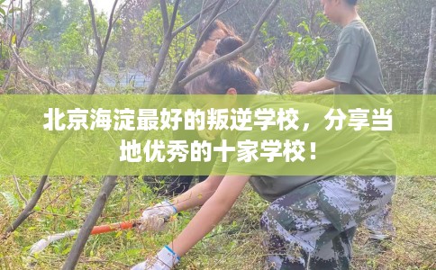 北京海淀最好的叛逆学校，分享当地优秀的十家学校！
